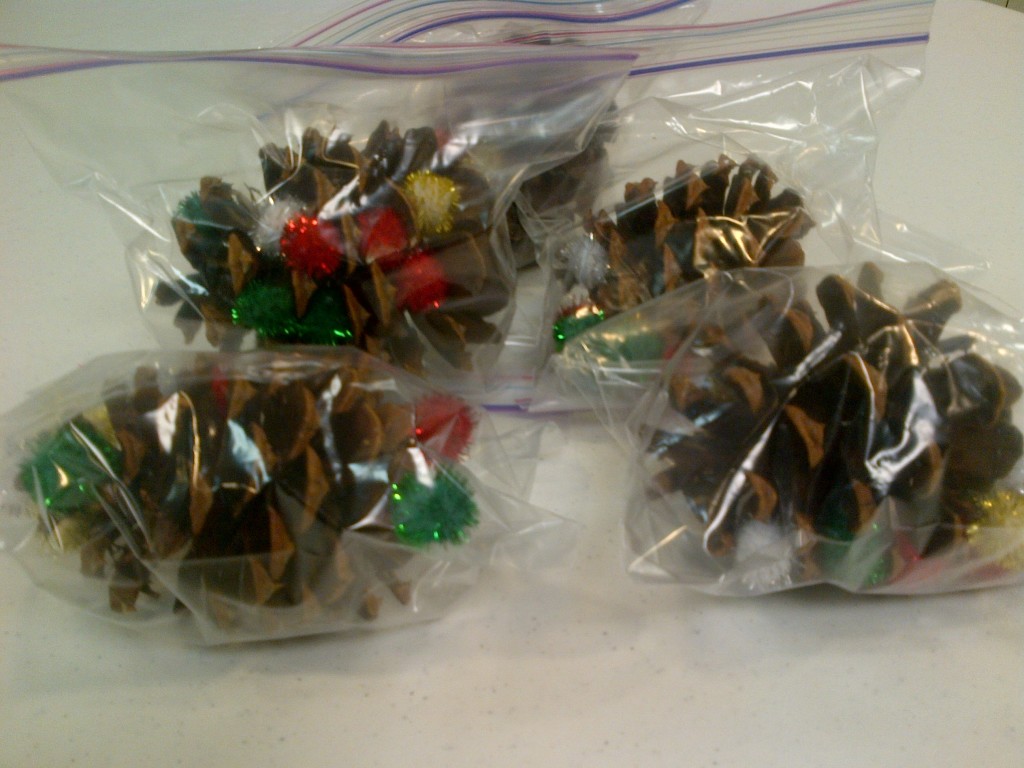 Before the visit, each pine cone with its correct number of pom-poms was placed in a baggie, ready for assembly.