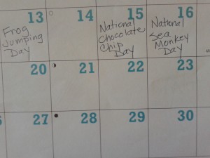 Calendar special days
