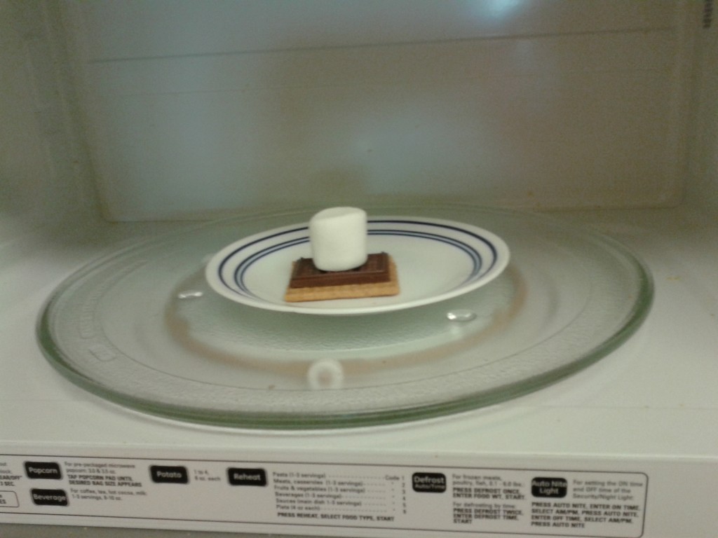 Place one graham cracker square, topped with a section of a Hershey's bar and a marshmallow in a microwave.